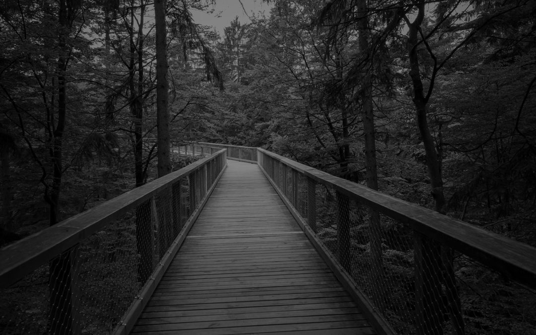 What business managers want: influential innovators