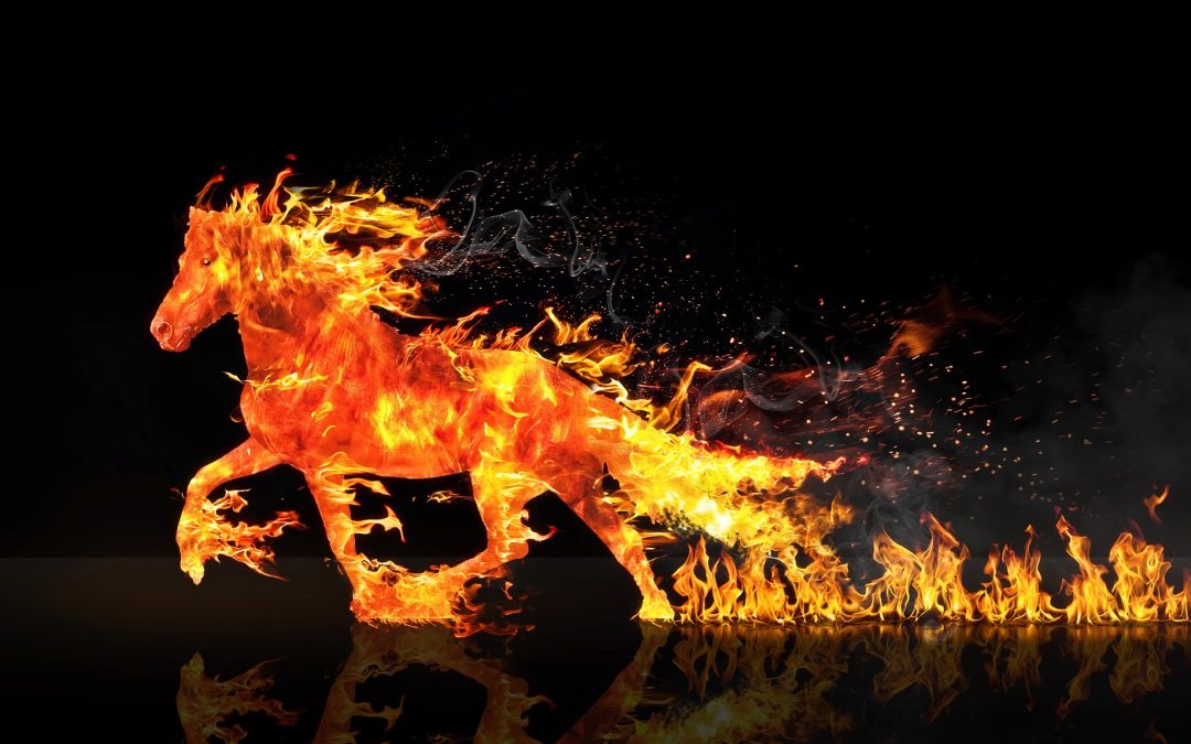 The Illusion Of Free